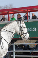 Eventing Langenfeld