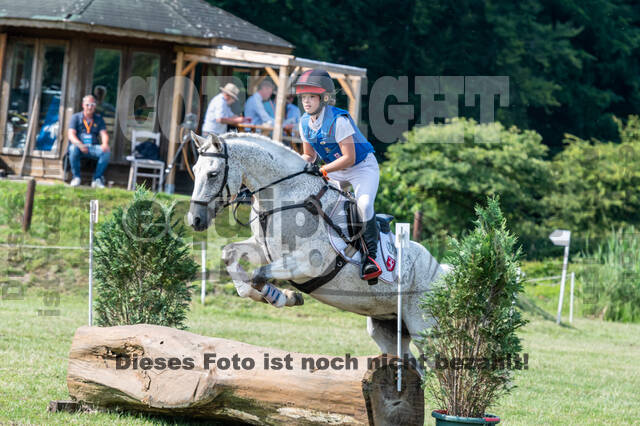Goldene Schärpe 2021 - Ponys