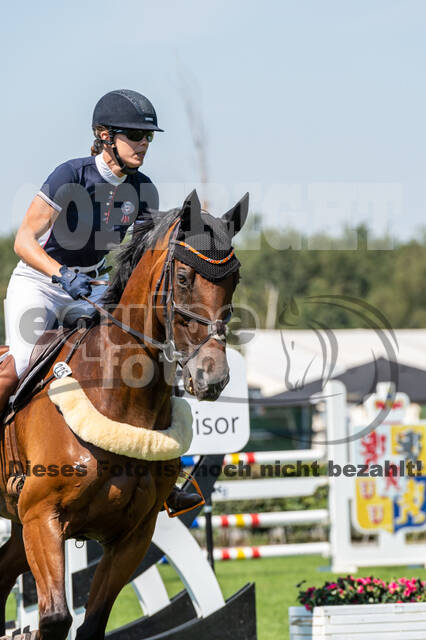 Kronenberg - De Peelbergen (August 2020)