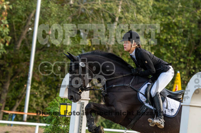 RFV Dinslaken-Hiesfeld (Herbstturnier)