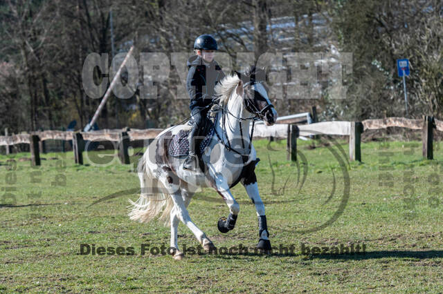 Geländetraining Wesel Obrighoven (19.+20.03.2022)