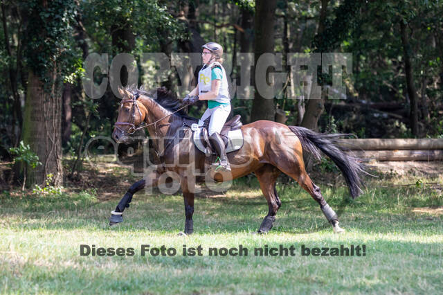 Late-Entry Vielseitigkeit Hamminkeln/Wesel (01.+02.08.2020)