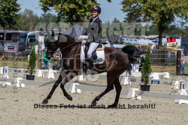 Kronenberg - De Peelbergen (August 2020)