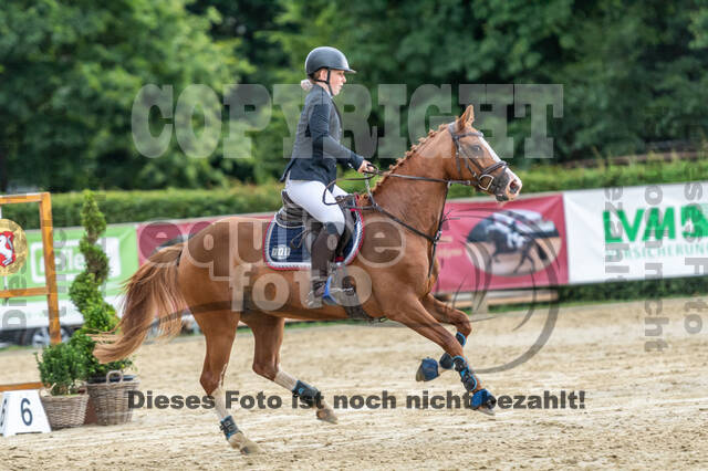 Goldene Schärpe 2021 - Ponys