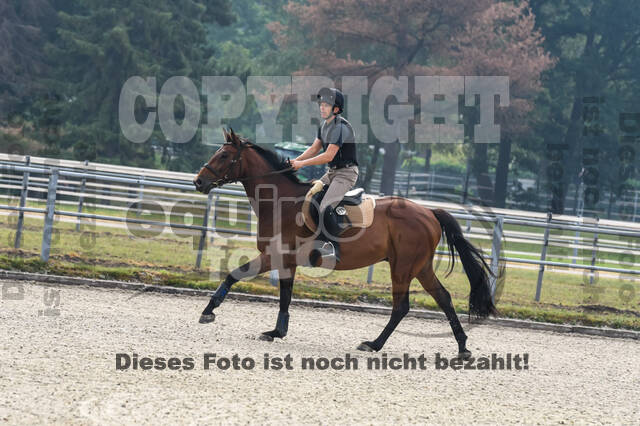 Late-Entry-Vielseitigkeit Langenfeld (11.+13./14.06.2020)
