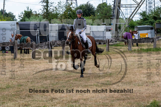 Late-Entry Vielseitigkeit Hamminkeln/Wesel (01.+02.08.2020)