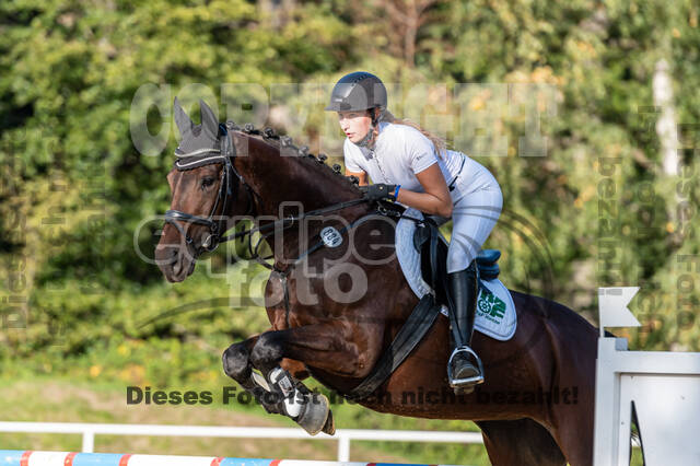 RFV Dinslaken-Hiesfeld (Herbstturnier)