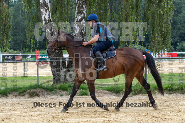 Hunter Geländetraining 10.07.2021 (Sonsbeck)