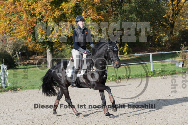 IGV Lehrgang der Sieger der Cups mit Frank Ostholt