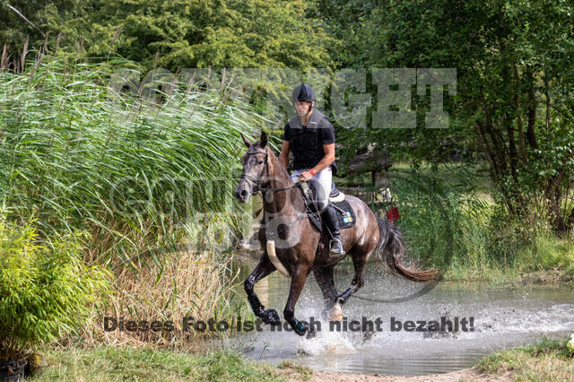 Late-Entry Vielseitigkeit Hamminkeln/Wesel (01.+02.08.2020)