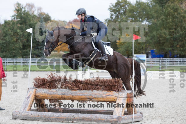IGV Lehrgang der Sieger der Cups mit Frank Ostholt