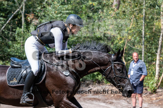 De Peelbergen (August 2020)