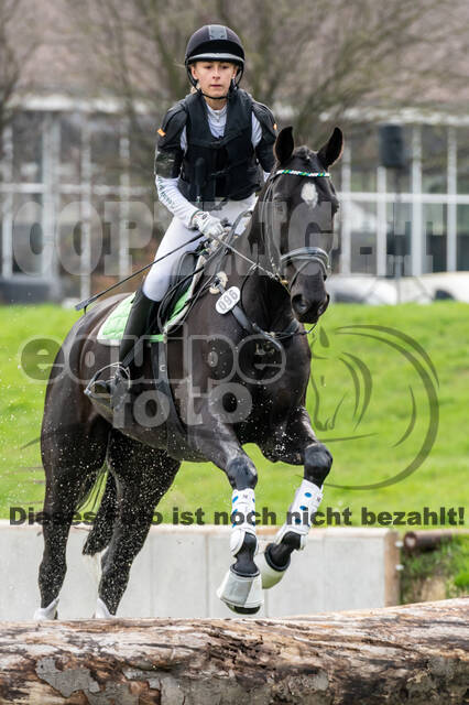 Goldene Schärpe 2020 - Pferde