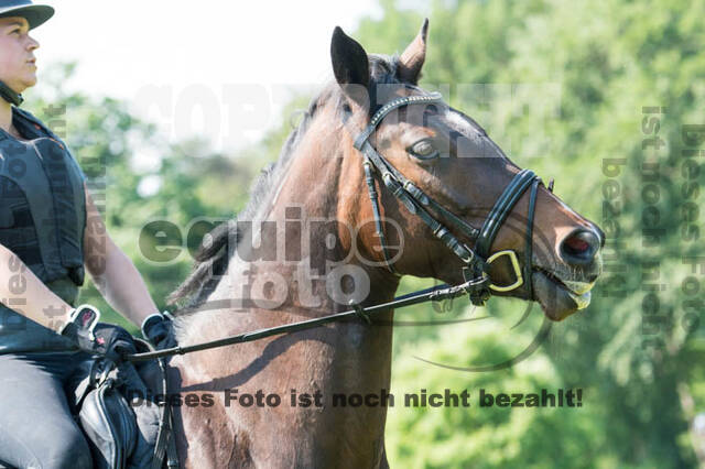 Tholi-Tour Lehrgang Vanessa Bölting