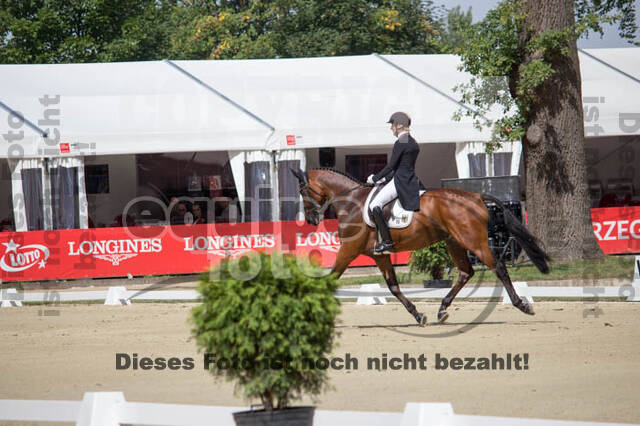 FEI European Championship Eventing 2017