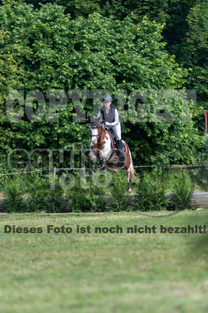 Goldene Schärpe 2021 - Ponys