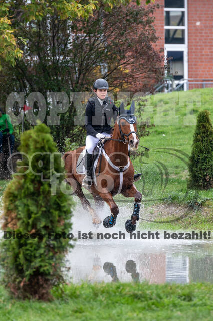 Goldene Schärpe 2020 - Pferde