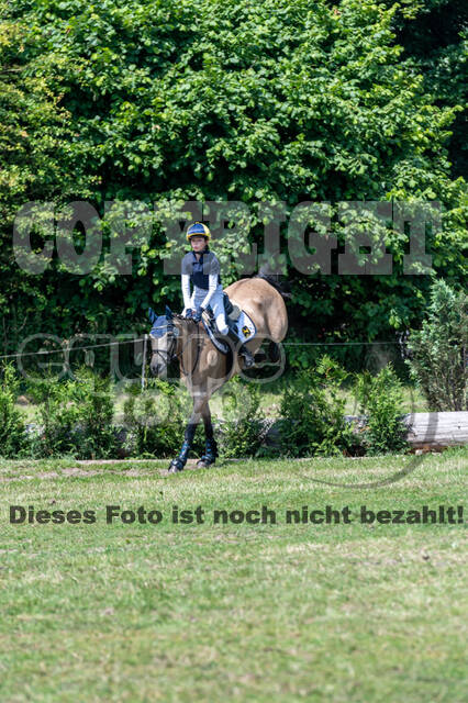 Goldene Schärpe 2021 - Ponys