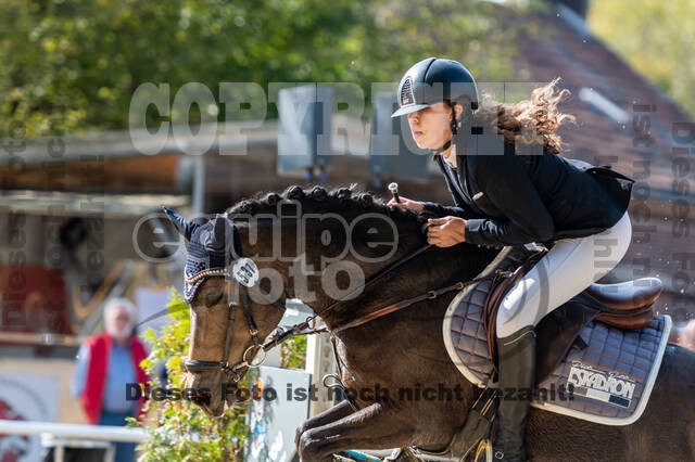 RFV Dinslaken-Hiesfeld (Herbstturnier)