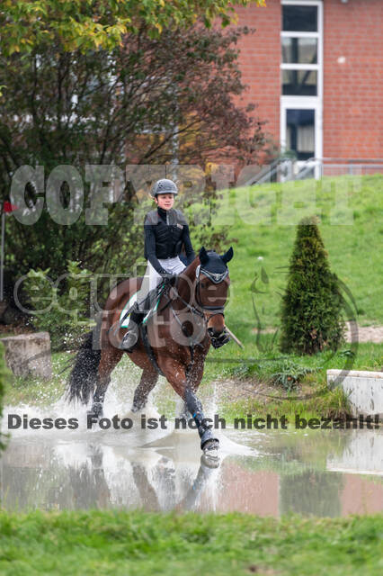 Goldene Schärpe 2020 - Pferde