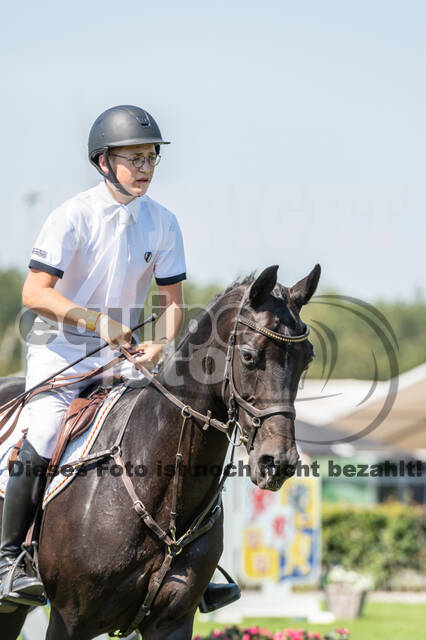 Kronenberg - De Peelbergen (August 2020)