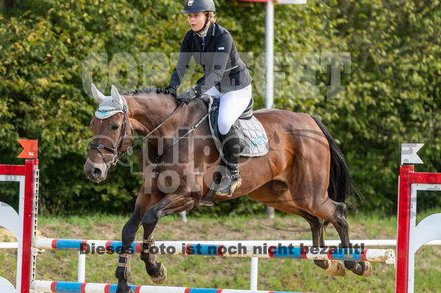 RFV Dinslaken-Hiesfeld (Herbstturnier)