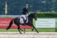 Goldene Schärpe 2021 - Ponys
