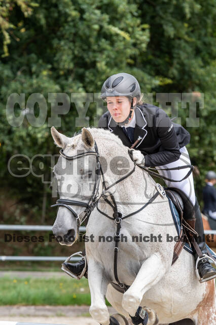 Late-Entry-Vielseitigkeit Langenfeld (06.+07.07.2020)