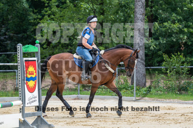 Hunter Geländetraining 10.07.2021 (Sonsbeck)