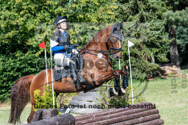 Late-Entry-Vielseitigkeit Langenfeld (11.+13./14.06.2020)