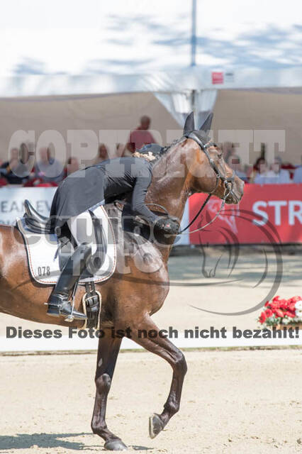 FEI European Championship Eventing 2017