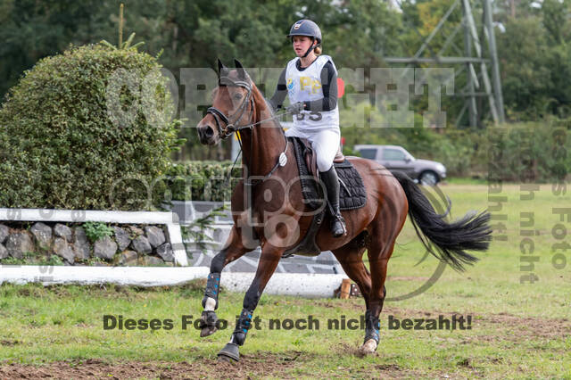 Vielseitigkeit RSV Wesel Obrighoven (26.+27.09.2020)