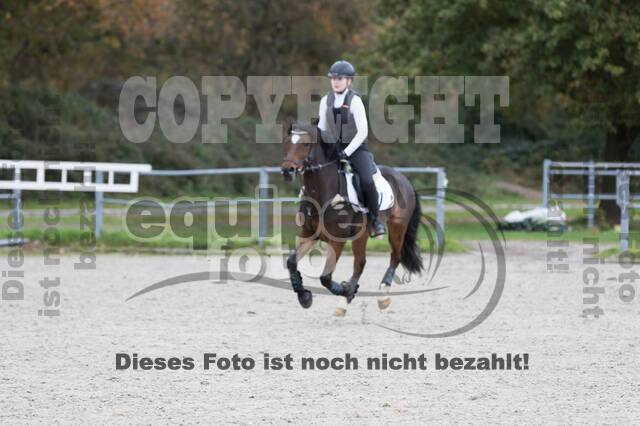 IGV Lehrgang der Sieger der Cups mit Frank Ostholt