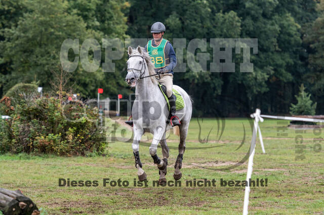 Vielseitigkeit RSV Wesel Obrighoven (26.+27.09.2020)