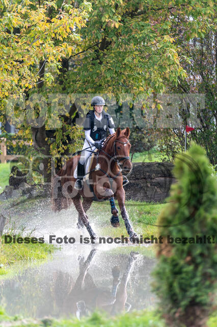 Goldene Schärpe 2020 - Pferde