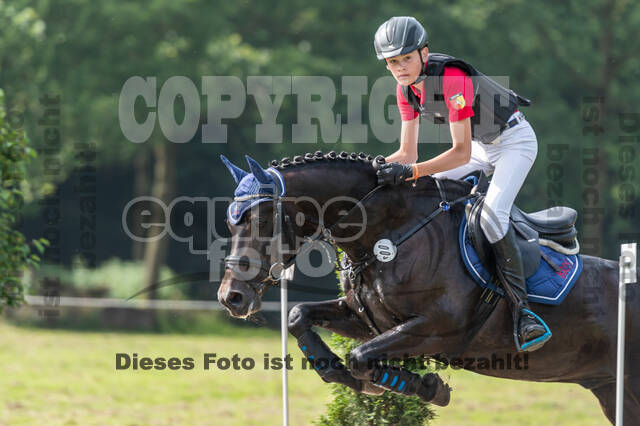 Goldene Schärpe 2021 - Ponys