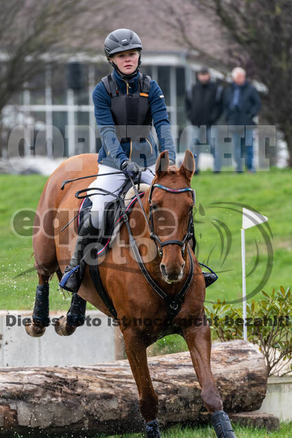 Goldene Schärpe 2020 - Pferde