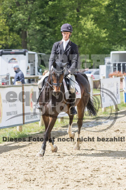 Sterne über Münster 2019 - CCI***S