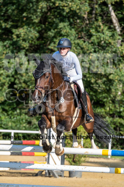 RFV Dinslaken-Hiesfeld (Herbstturnier)