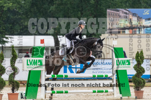 Goldene Schärpe 2021 - Ponys