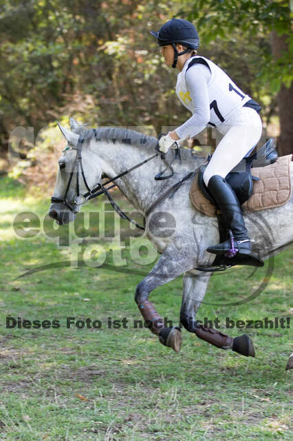 Vielseitigkeitsturnier RSV St. Hubertus Wesel Obrighoven