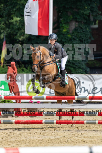 Goldene Schärpe 2021 - Ponys