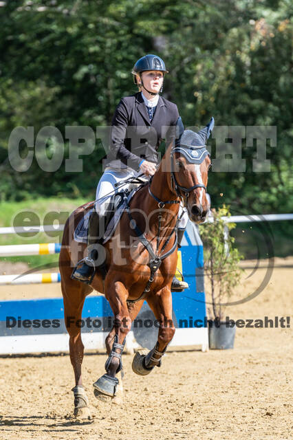 RFV Dinslaken-Hiesfeld (Herbstturnier)