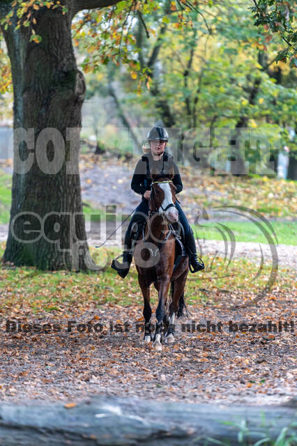 IGV Lehrgang der Sieger der Cups mit Frank Ostholt