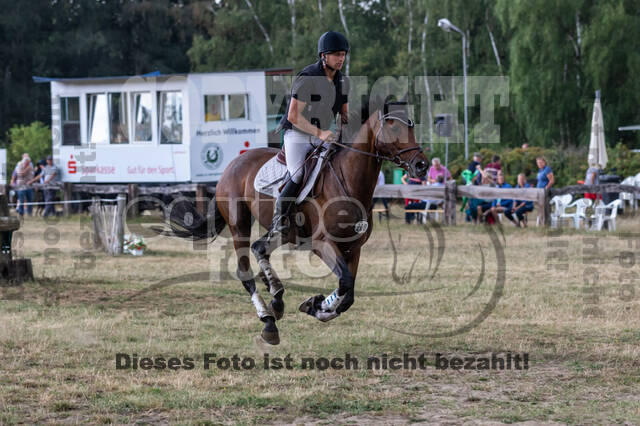 Late-Entry Vielseitigkeit Hamminkeln/Wesel (01.+02.08.2020)