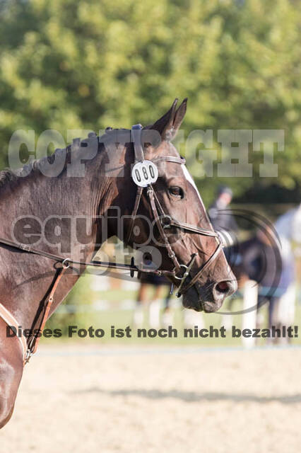 IGV Kleve