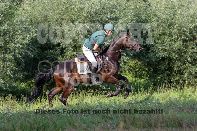 Late-Entry-Vielseitigkeit Gahlen (18.07.2020)
