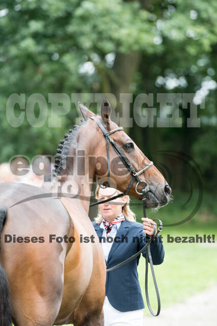 FEI European Championship Eventing 2017