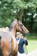 FEI European Championship Eventing 2017