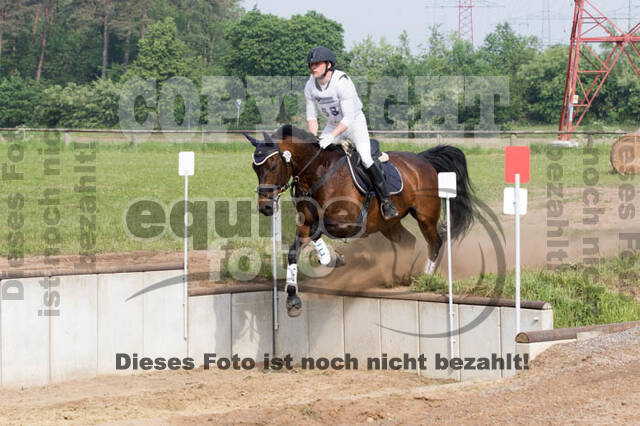Vielseitigkeitsturnier ZRFV von Lützow Hamminkeln